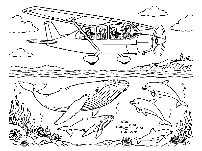 Исследовательский самолёт над китами и дельфинами в море, раскраска для детей