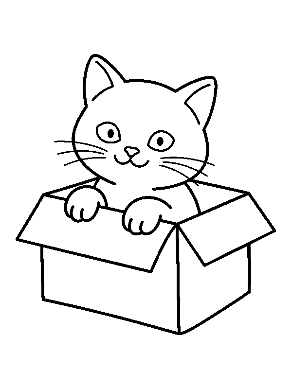 Котёнок выглядывает из картонной коробки