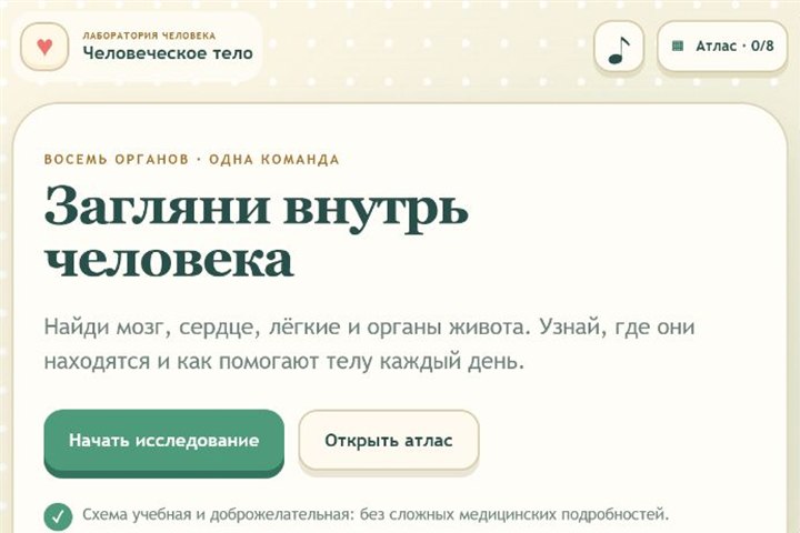 Игровой экран «Человеческое тело»