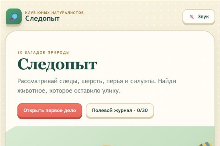 Игровой экран «Следопыт»
