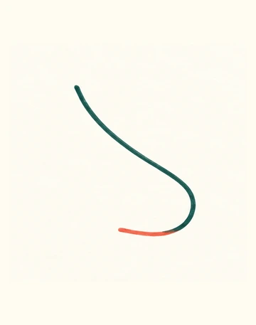 Короткий нижний контур носа