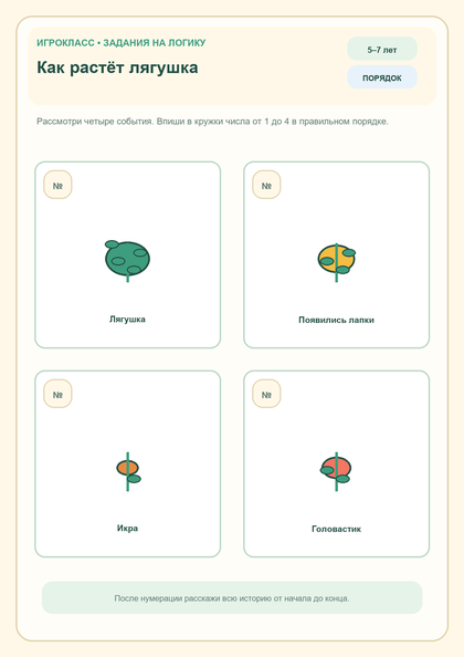 Логическое задание «Как растёт лягушка» для детей 5–7 лет, PNG для печати на A4